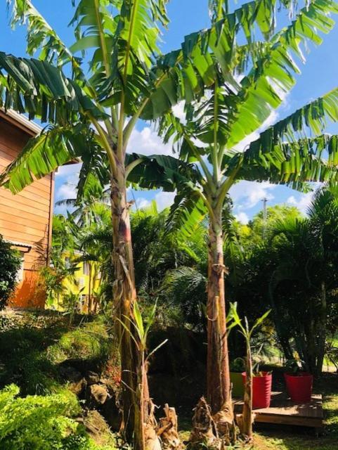 Amour Deshaies Exterior foto