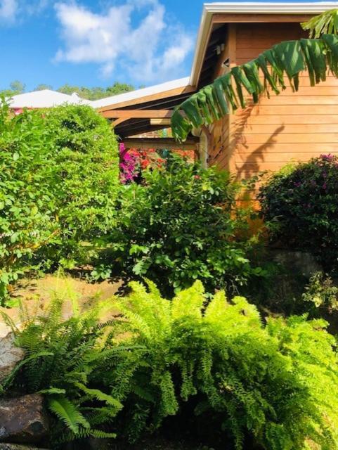 Amour Deshaies Exterior foto